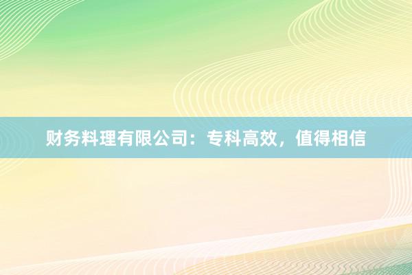 财务料理有限公司：专科高效，值得相信